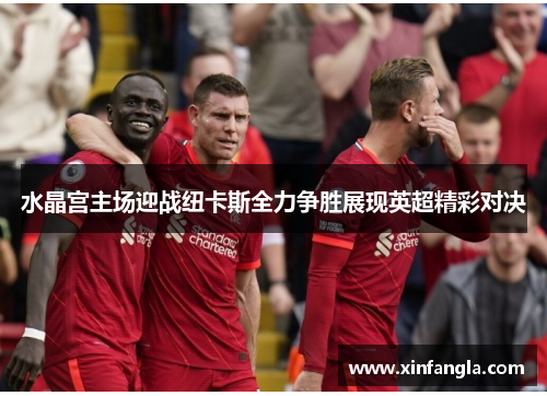 水晶宫主场迎战纽卡斯全力争胜展现英超精彩对决